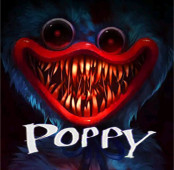 Poppy Play Night