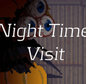 Night Time Visit