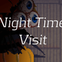 Night Time Visit