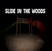 Slide In The Woods