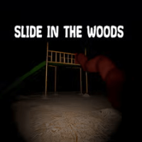 Slide In The Woods