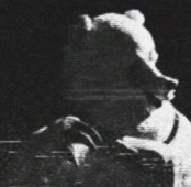 The Winterland Incident