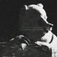 The Winterland Incident